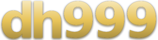 dh999 logo